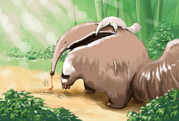 アリクイ