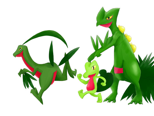 【ポケモン】キモリシリーズ