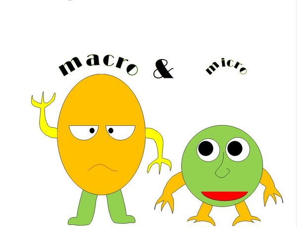 MACRO　＆　MICRO