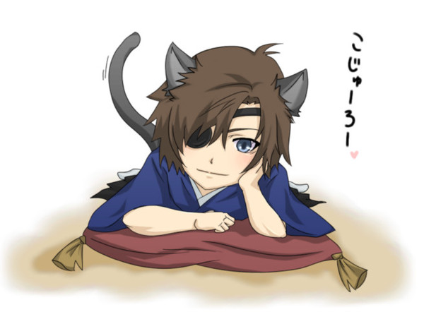 猫宗