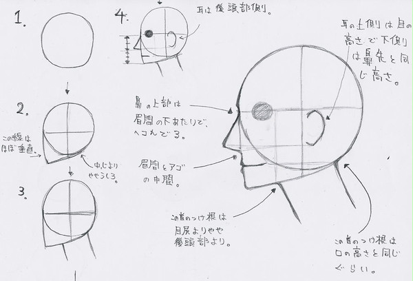 横顔!!