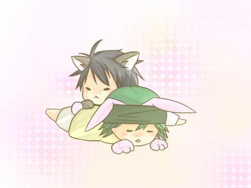 うさうじとひかにゃん