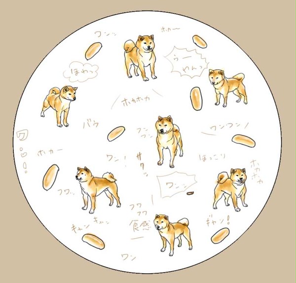 柴犬とコッペパンの違いについて