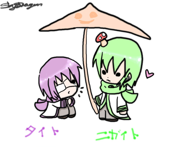 ニガイト＆タイト