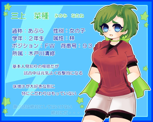 【絵師イナイレ化】ドリンクが味噌汁【キャラシ】