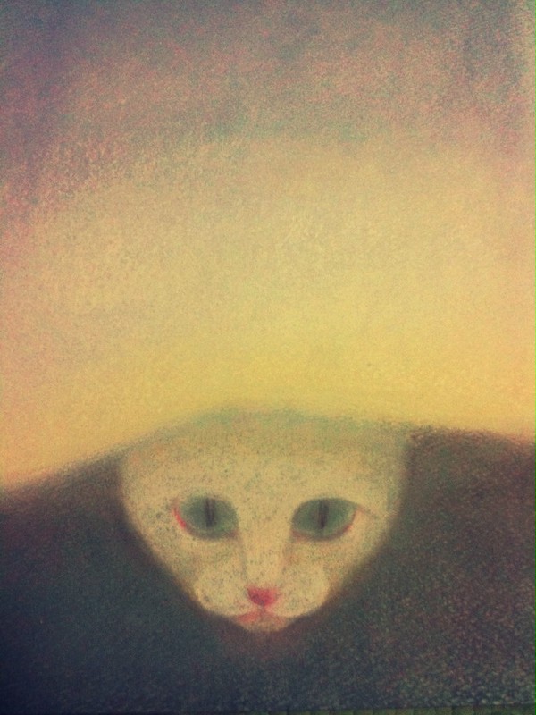 隠れねこ