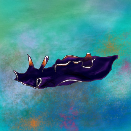 ウミウシ