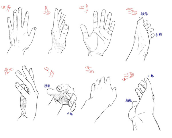 【講座】３６０°シリーズ　「手」その１