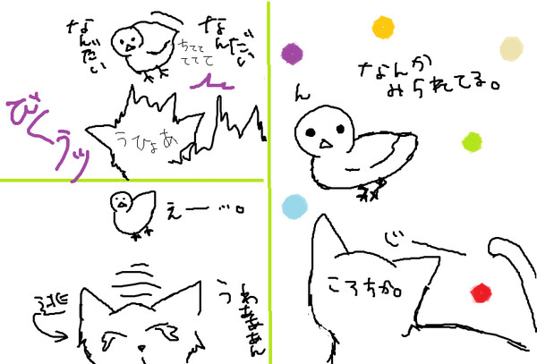 ころちか。