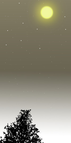 月がきれいだったので