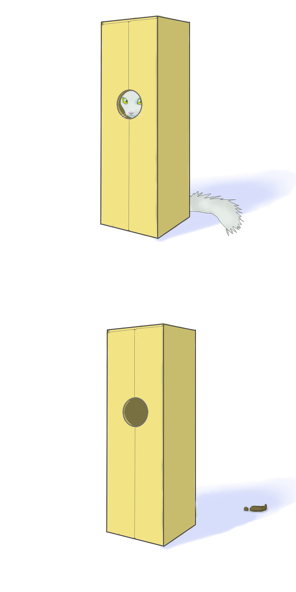 縦ダンボール猫