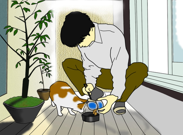 餌付け