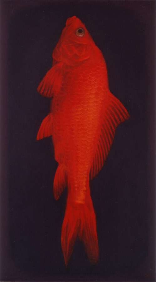 赤くなった魚