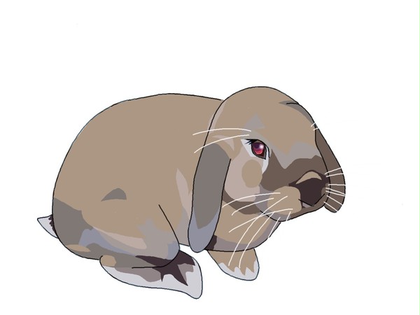 我が家のチョコラティエ
