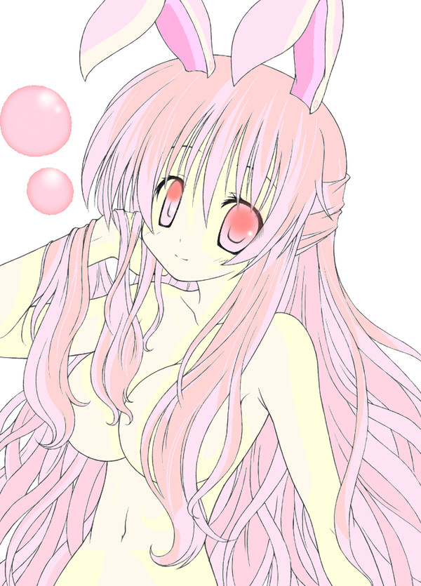 うさぎ