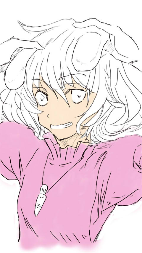 下書き・・・