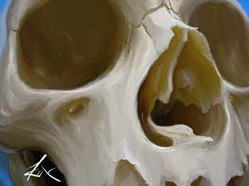 artrage skull