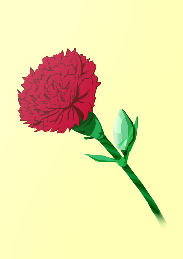 カーネーション