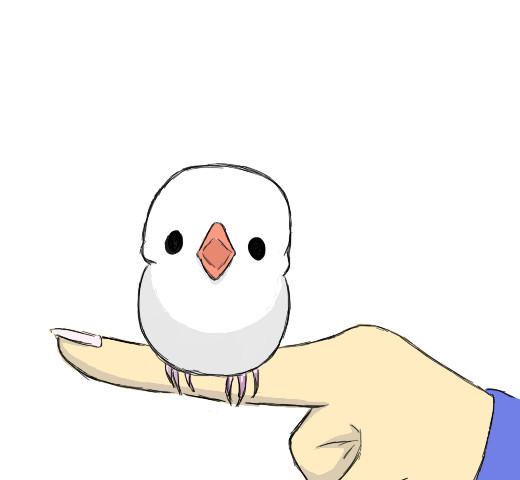 ちゅん