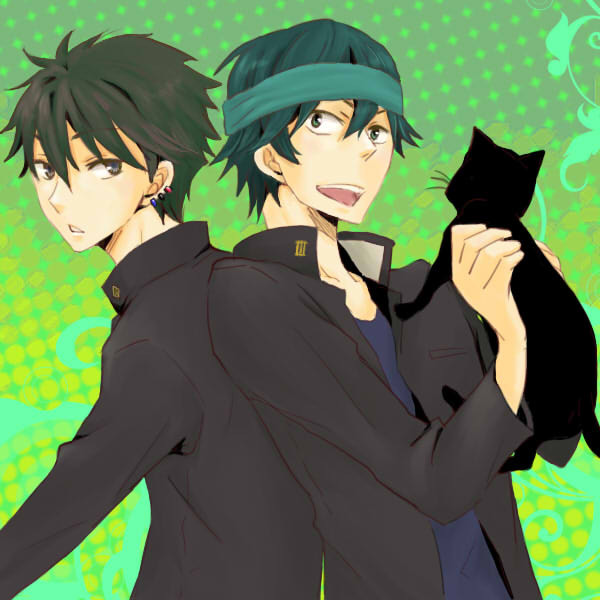 黒猫