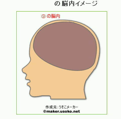 ⑨の脳内