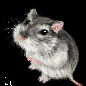 もここ