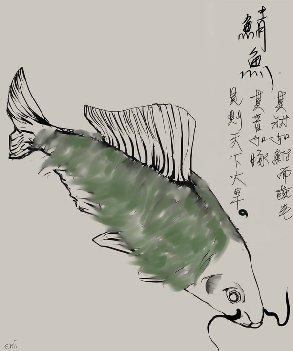 鯖魚