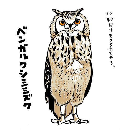 いろんなフクロウシリーズ①