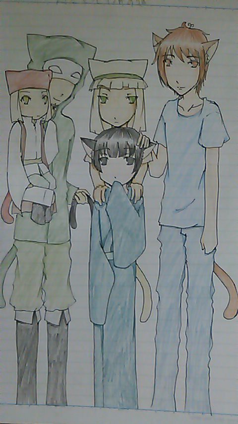 日本と地中海の猫