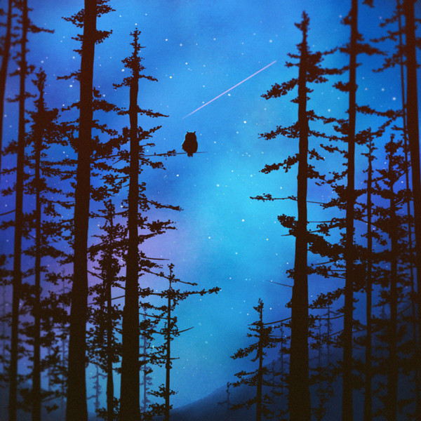 フクロウと流れ星