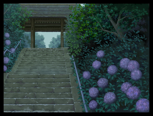紫陽花