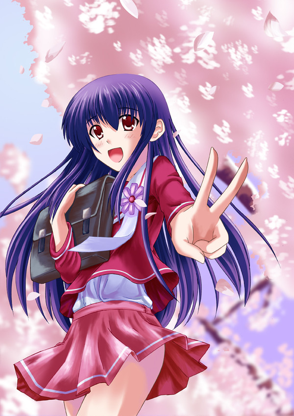 sakura