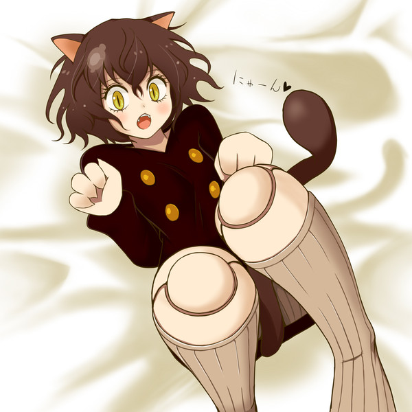 ごろにゃんピトー