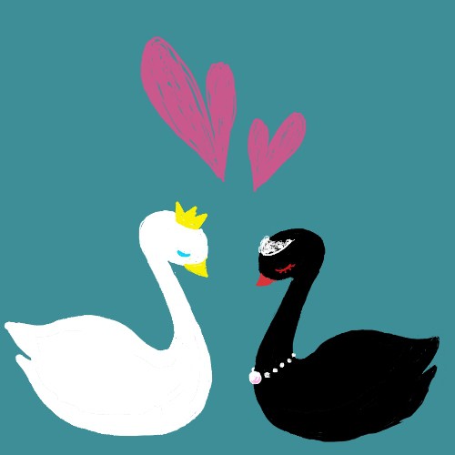 白鳥と黒鳥