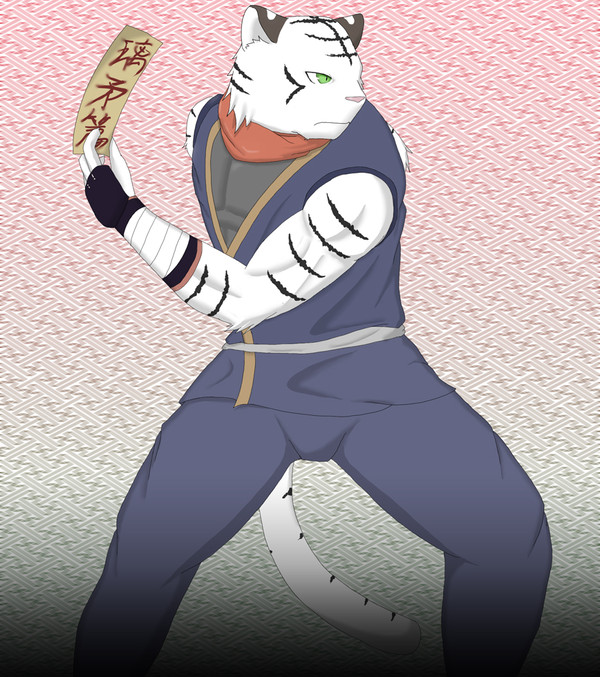 ケモ忍