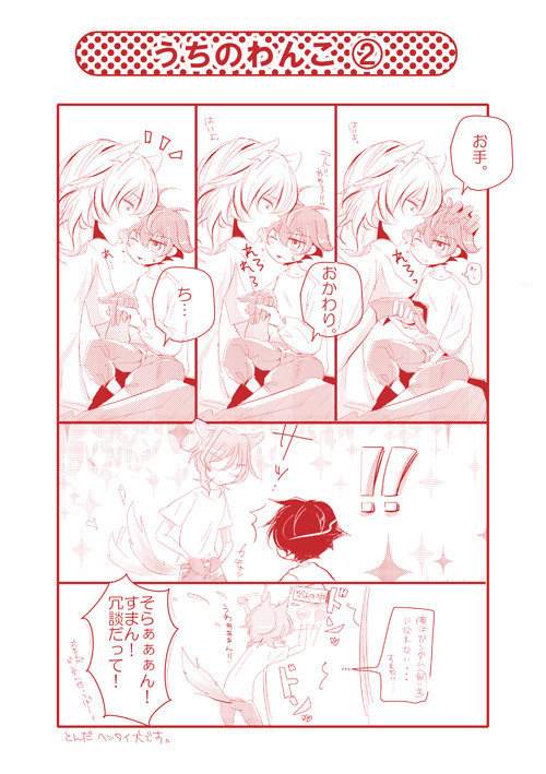 うちのわんこ02