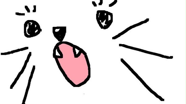 ニャンだぁこりゃ～