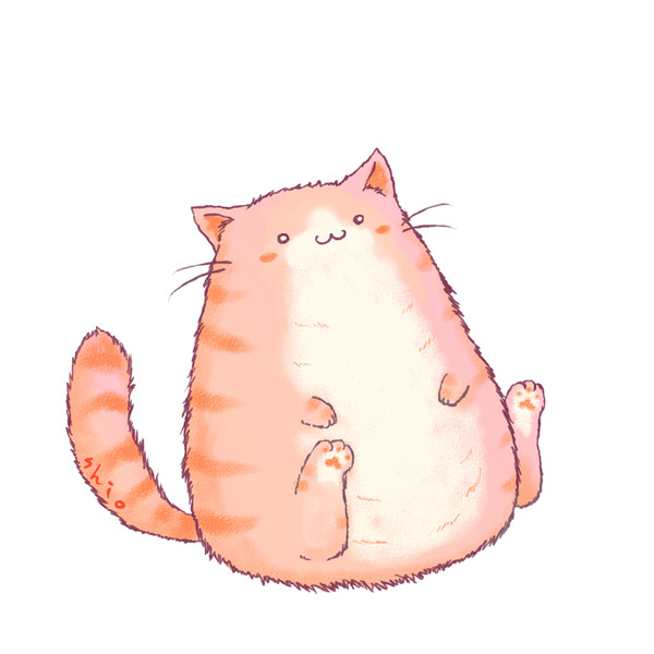 猫大家族へ