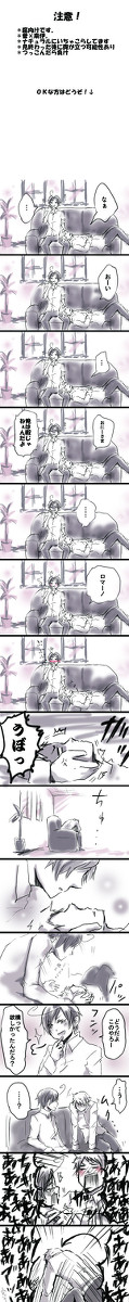 【腐】構った結果【普ロマ】