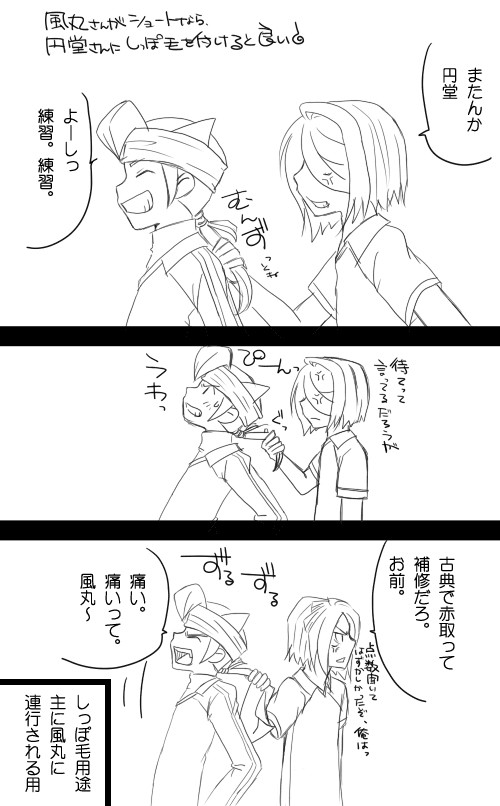 ショートの風丸さんと、しっぽ毛円堂さん
