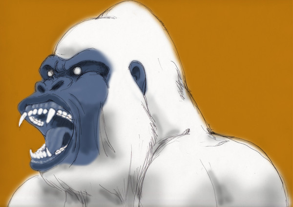 さる