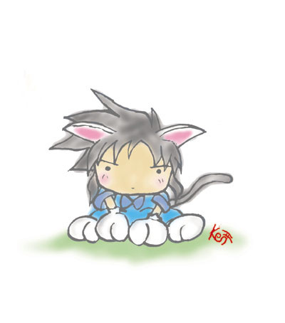 ねこきぃ