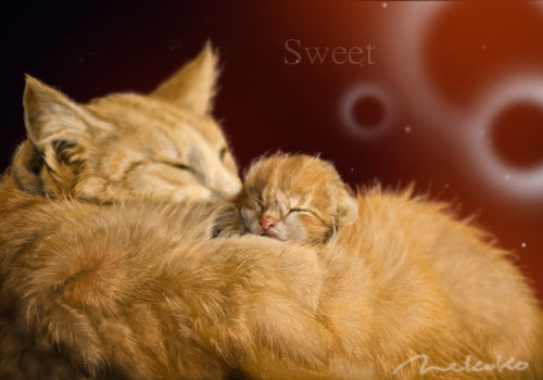 ｓｗｅｅｔ