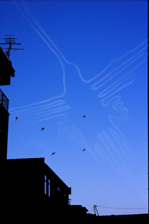 Colibri in the Sky