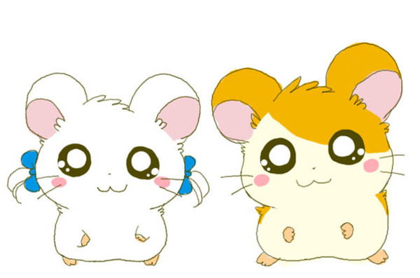 ハム太郎とリボンちゃん