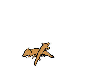 交差点