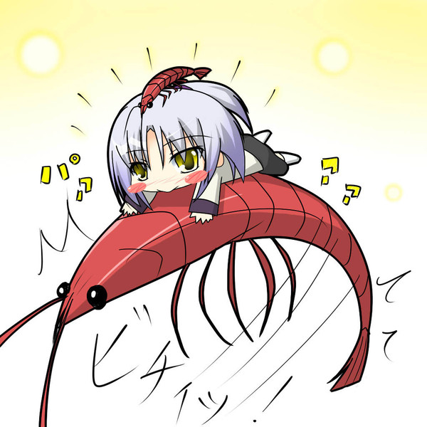 海老ロデオ。