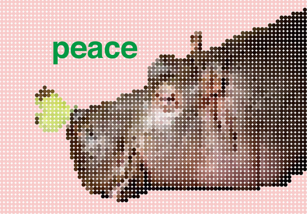 カバ