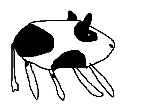 usi