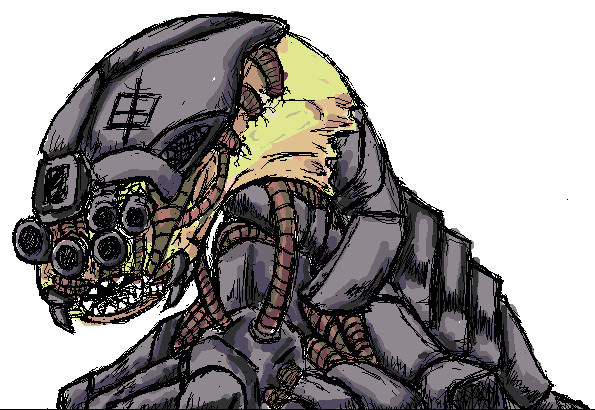 申年
